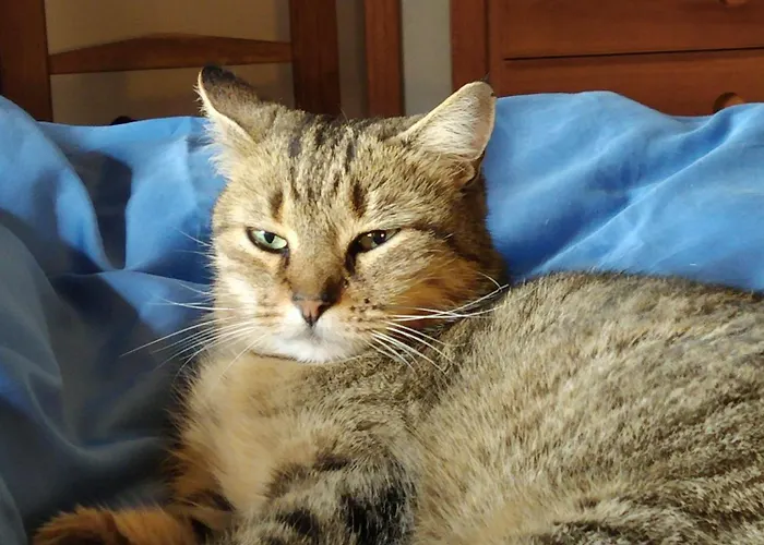 Di Cala Regina, Maison De Charme Villa Quartu SantʼElena