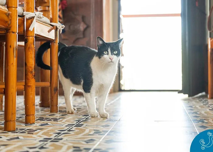 Di Cala Regina, Maison De Charme Quartu SantʼElena
